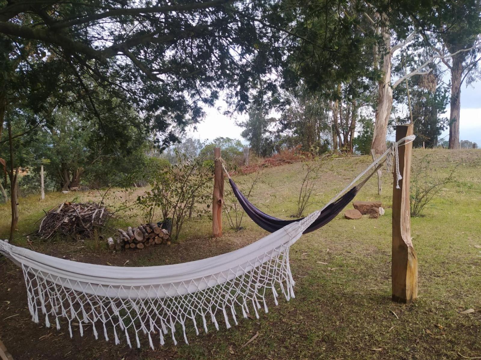 Eco-Cabana Piemonte Guasca Ngoại thất bức ảnh